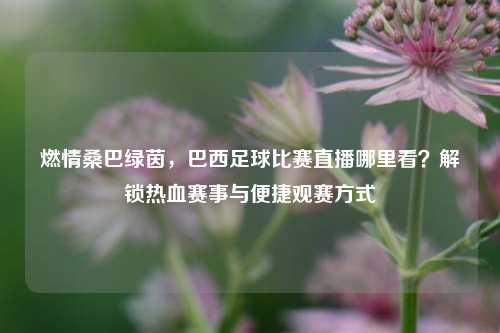 燃情桑巴绿茵,巴西足球比赛直播哪里看?解锁热血赛事与便捷观赛方式