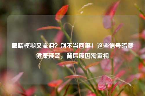 眼睛模糊又流泪?别不当回事!这些信号暗藏健康预警,背后原因需重视