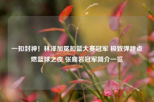 一扣封神!林泽加冕扣篮大赛冠军 极致弹跳点燃篮球之夜 张鼎岩冠军简介一览