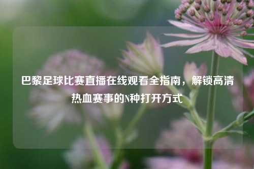 巴黎足球比赛直播在线观看全指南,解锁高清热血赛事的N种打开方式