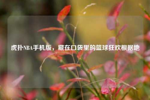 虎扑NBA手机版,藏在口袋里的篮球狂欢根据地