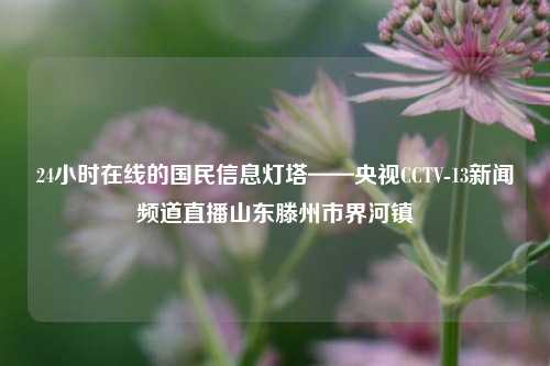 24小时在线的国民信息灯塔——央视CCTV-13新闻频道直播山东滕州市界河镇