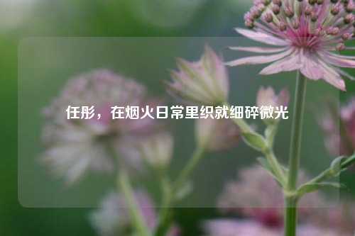 任彤,在烟火日常里织就细碎微光