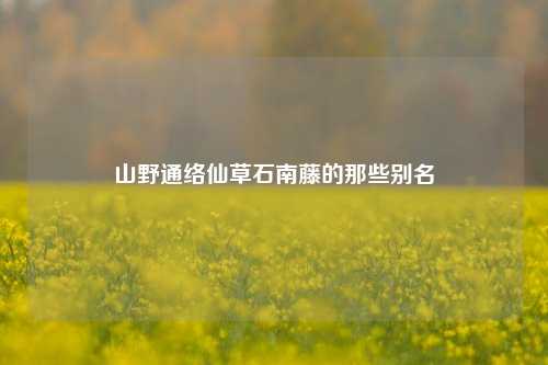 山野通络仙草石南藤的那些别名
