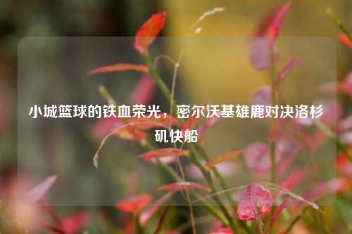 小城篮球的铁血荣光，密尔沃基雄鹿对决洛杉矶快船