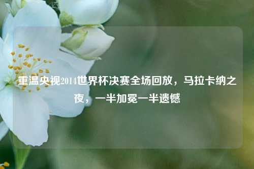 重温央视2014世界杯决赛全场回放,马拉卡纳之夜,一半加冕一半遗憾