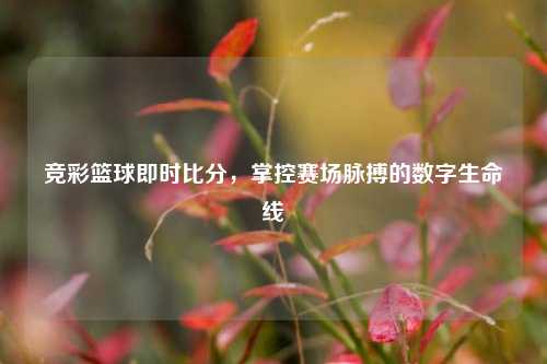 竞彩篮球即时比分，掌控赛场脉搏的数字生命线