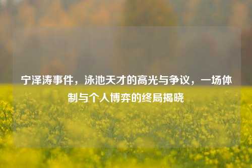 宁泽涛事件，泳池天才的高光与争议，一场体制与个人博弈的终局揭晓
