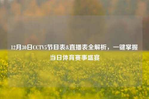 12月30日CCTV5节目表&直播表全解析,一键掌握当日体育赛事盛宴