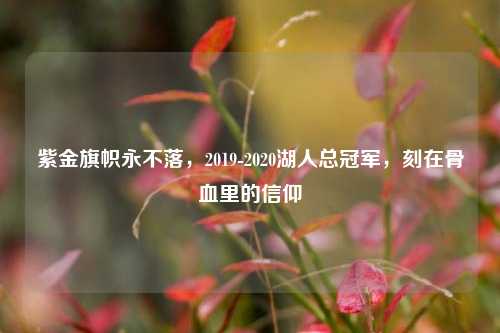 紫金旗帜永不落,2019-2020湖人总冠军,刻在骨血里的信仰