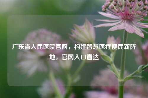 广东省人民医院官网,构建智慧医疗便民新阵地,官网入口直达