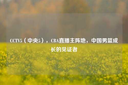 CCTV5(中央5),CBA直播主阵地,中国男篮成长的见证者
