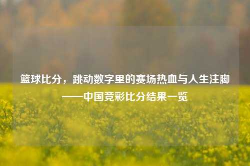 篮球比分,跳动数字里的赛场热血与人生注脚——中国竞彩比分结果一览