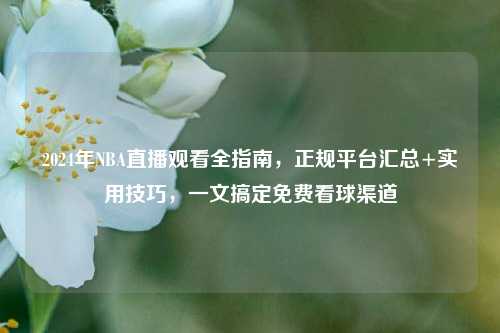 2024年NBA直播观看全指南，正规平台汇总+实用技巧，一文搞定免费看球渠道