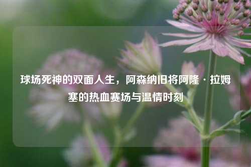 球场死神的双面人生,阿森纳旧将阿隆·拉姆塞的热血赛场与温情时刻