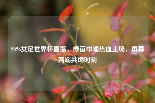 2026女足世界杯直播,绿茵巾帼热血主场,屏幕两端共燃时刻