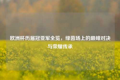 欧洲杯历届冠亚军全览,绿茵场上的巅峰对决与荣耀传承