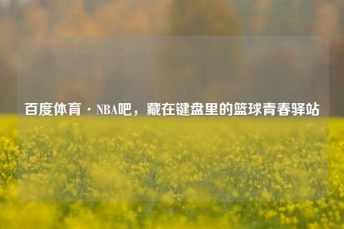 百度体育·NBA吧,藏在键盘里的篮球青春驿站