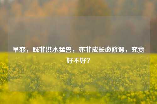 早恋,既非洪水猛兽,亦非成长必修课,究竟好不好?
