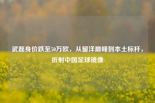 武磊身价跌至50万欧,从留洋巅峰到本土标杆,折射中国足球镜像