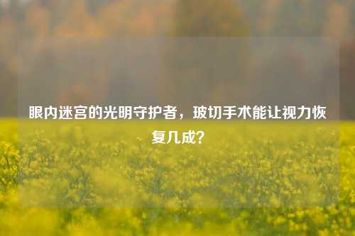 眼内迷宫的光明守护者,玻切手术能让视力恢复几成?