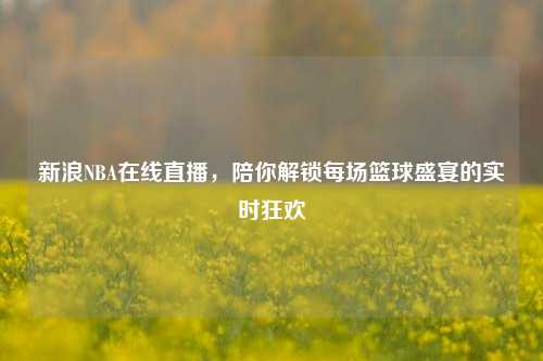 新浪NBA在线直播,陪你解锁每场篮球盛宴的实时狂欢