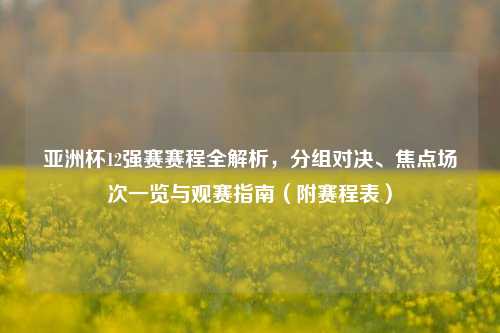 亚洲杯12强赛赛程全解析,分组对决、焦点场次一览与观赛指南(附赛程表)