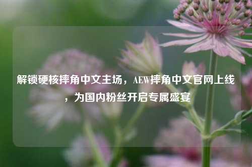 解锁硬核摔角中文主场,AEW摔角中文官网上线,为国内粉丝开启专属盛宴