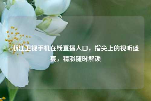 浙江卫视手机在线直播入口,指尖上的视听盛宴,精彩随时解锁