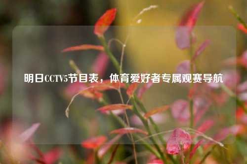 明日CCTV5节目表,体育爱好者专属观赛导航