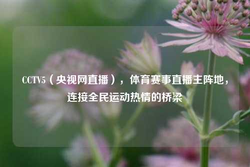 CCTV5（央视网直播），体育赛事直播主阵地，连接全民运动热情的桥梁