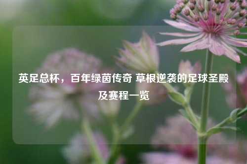 英足总杯,百年绿茵传奇 草根逆袭的足球圣殿及赛程一览
