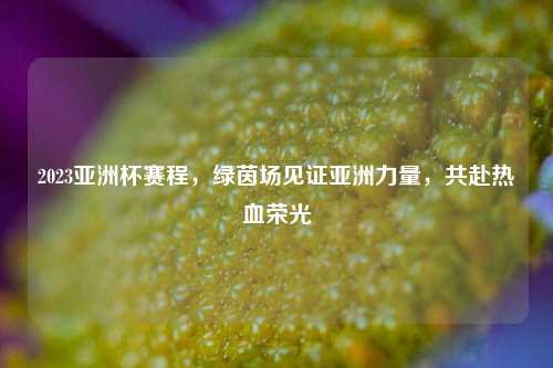 2023亚洲杯赛程，绿茵场见证亚洲力量，共赴热血荣光