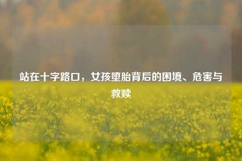 站在十字路口，女孩堕胎背后的困境、危害与救赎