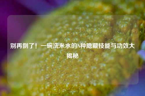 别再倒了!一碗洗米水的N种隐藏技能与功效大揭秘