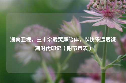 湖南卫视,三十余载荧屏陪伴,以快乐温度镌刻时代印记(附节目表)