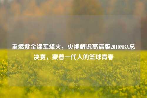 重燃紫金绿军烽火,央视解说高清版2010NBA总决赛,藏着一代人的篮球青春