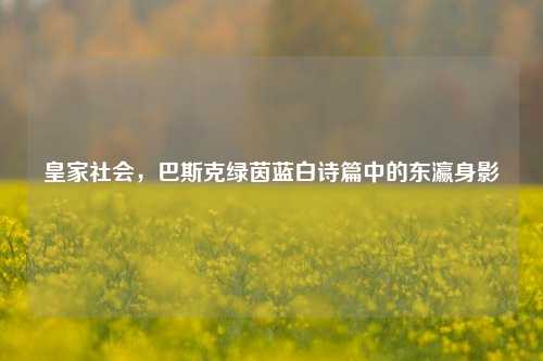 皇家社会,巴斯克绿茵蓝白诗篇中的东瀛身影