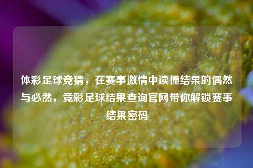 体彩足球竞猜,在赛事激情中读懂结果的偶然与必然,竞彩足球结果查询官网带你解锁赛事结果密码