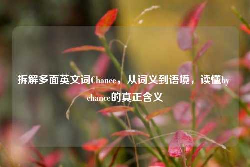 拆解多面英文词Chance,从词义到语境,读懂by chance的真正含义