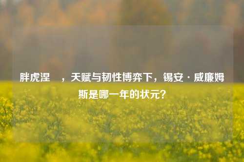 胖虎涅槃，天赋与韧性博弈下，锡安·威廉姆斯是哪一年的状元？