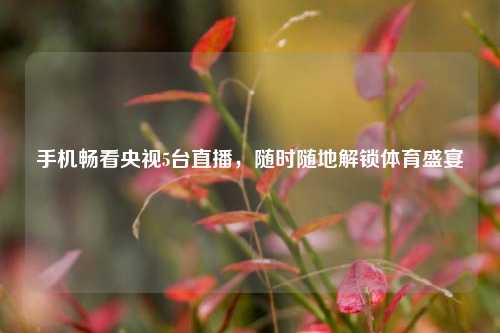 手机畅看央视5台直播，随时随地解锁体育盛宴