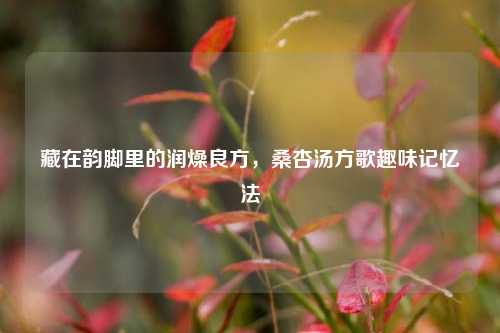 藏在韵脚里的润燥良方，桑杏汤方歌趣味记忆法