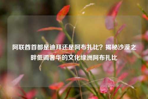 阿联酋首都是迪拜还是阿布扎比？揭秘沙漠之畔低调奢华的文化绿洲阿布扎比