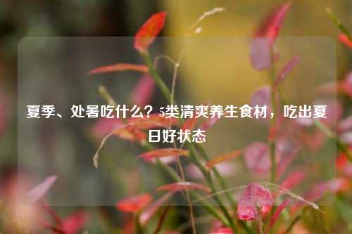 夏季、处暑吃什么？5类清爽养生食材，吃出夏日好状态