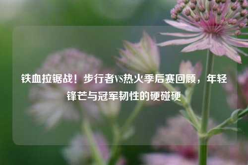 铁血拉锯战！步行者VS热火季后赛回顾，年轻锋芒与冠军韧性的硬碰硬