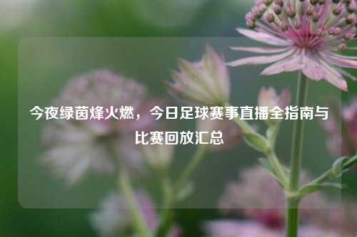 今夜绿茵烽火燃,今日足球赛事直播全指南与比赛回放汇总