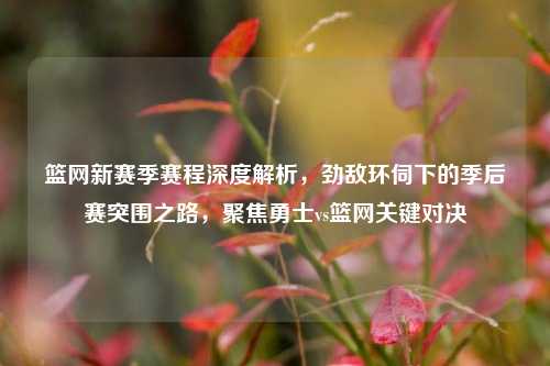 篮网新赛季赛程深度解析，劲敌环伺下的季后赛突围之路，聚焦勇士vs篮网关键对决