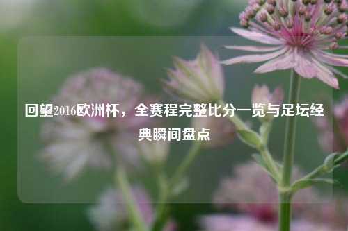 回望2016欧洲杯，全赛程完整比分一览与足坛经典瞬间盘点