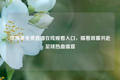 世预赛免费直播在线观看入口,隔着屏幕共赴足球热血盛宴